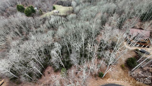 TBD Vineyards Retreat Road 14, Newland, NC 28657