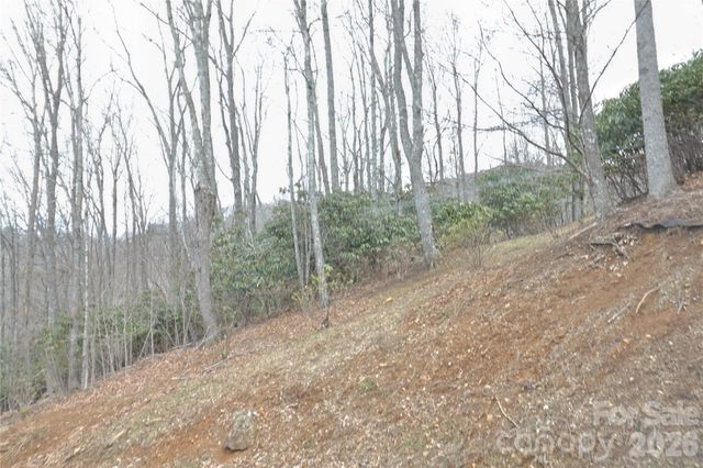 TBD Vineyards Retreat Road 14, Newland, NC 28657