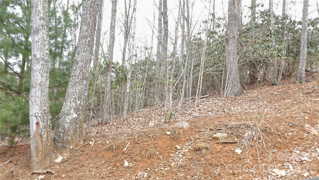 TBD Vineyards Retreat Road 14, Newland, NC 28657