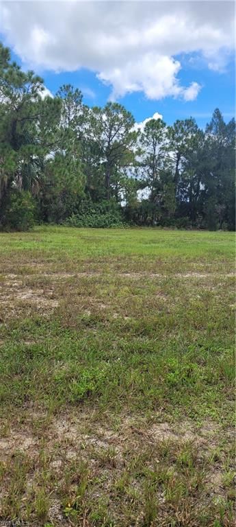 3917 NE 19th AVE, CAPE CORAL, FL 33909 — photo 2
