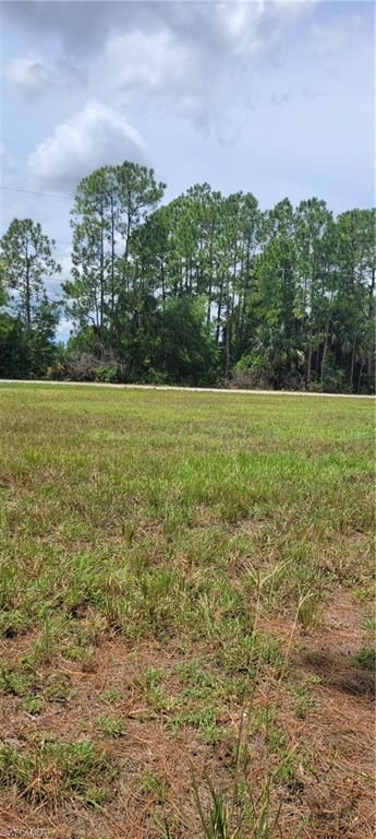 3917 NE 19th AVE, CAPE CORAL, FL 33909 — photo 3
