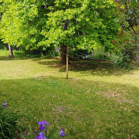 876 Pearl View Drive, Sauk Rapids, MN 56379