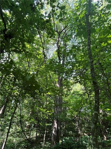 0 Monument Road, Jasper, GA 30143
