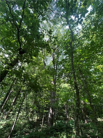 0 Monument Road, Jasper, GA 30143