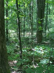 0 Monument Road, Jasper, GA 30143