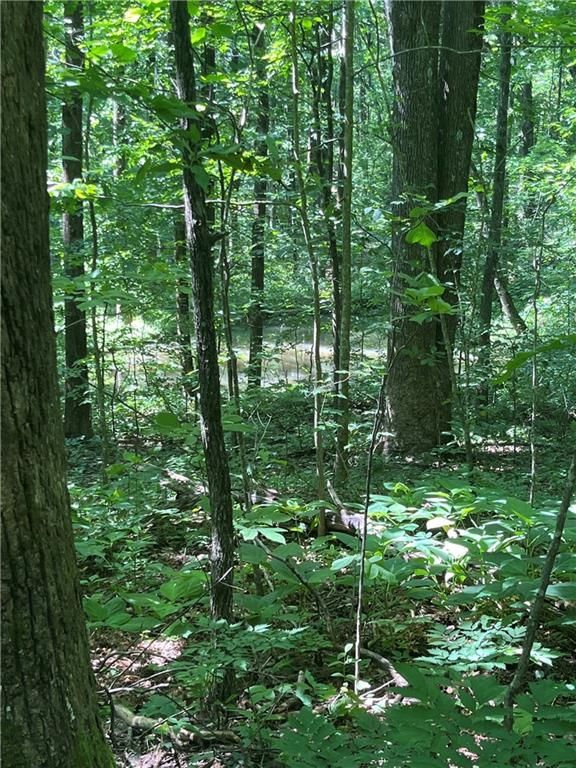 0 Monument Road, Jasper, GA 30143