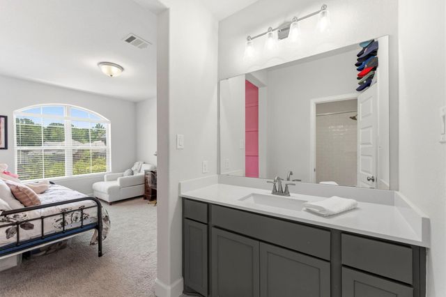 442 Patina Drive, Montgomery, TX 77316
