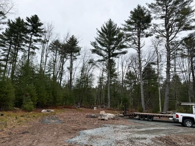 2757 State Route 42, Forestburgh, NY 12777