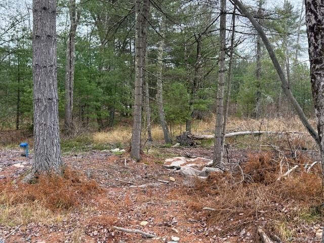 2757 State Route 42, Forestburgh, NY 12777