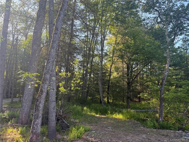 2757 State Route 42, Forestburgh, NY 12777