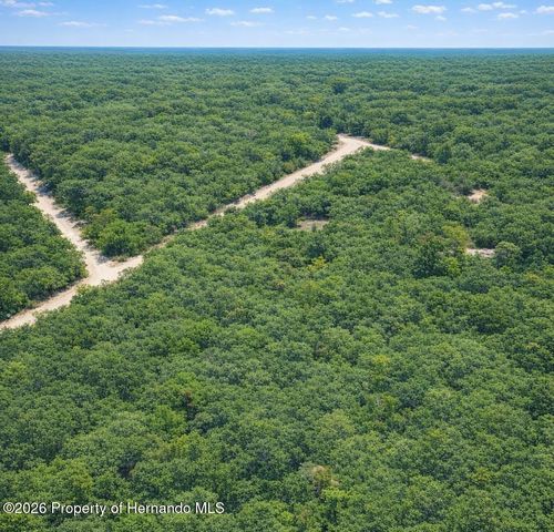 0 Medicine Stone Drive, Webster, FL 33597