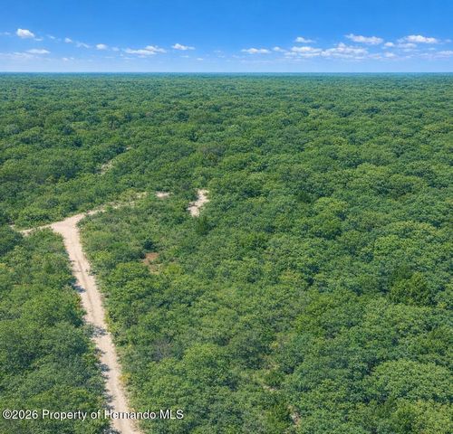 0 Medicine Stone Drive, Webster, FL 33597