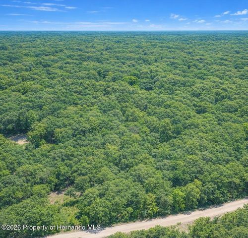 0 Medicine Stone Drive, Webster, FL 33597