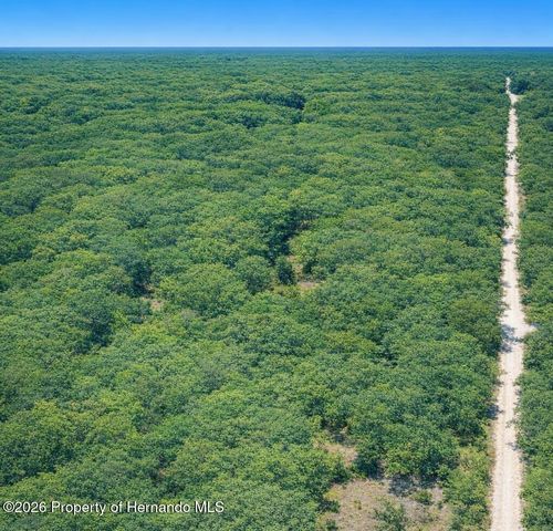 0 Medicine Stone Drive, Webster, FL 33597
