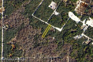 0 Medicine Stone Drive, Webster, FL 33597