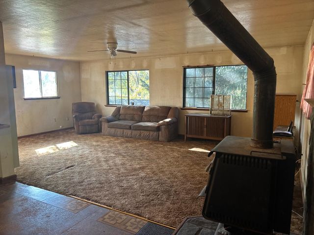 15574 Hinton Rd, Pioneer, CA 95666