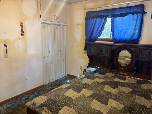 15574 Hinton Rd, Pioneer, CA 95666