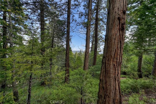 0 Stonehill Drive, Lake Arrowhead, CA 92385