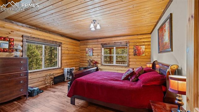 1253 E Bison Creek Trail, Divide, CO 80814