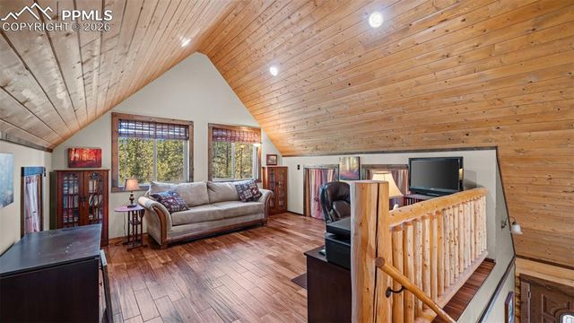 1253 E Bison Creek Trail, Divide, CO 80814
