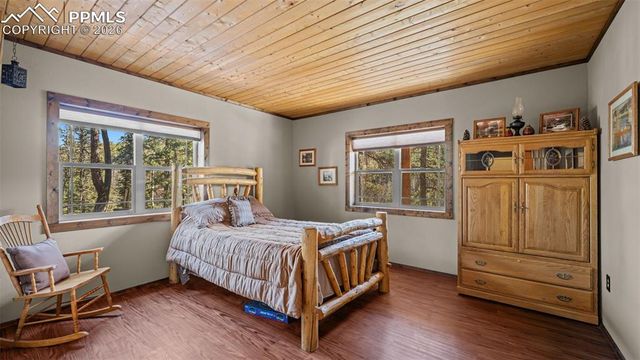 1253 E Bison Creek Trail, Divide, CO 80814