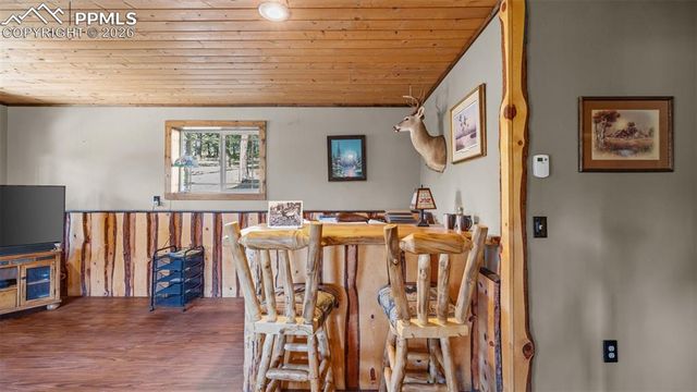 1253 E Bison Creek Trail, Divide, CO 80814