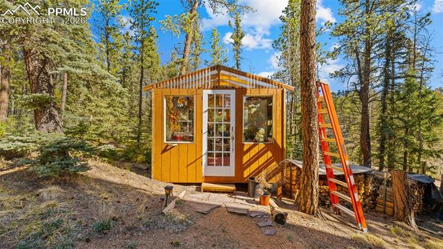 1253 E Bison Creek Trail, Divide, CO 80814
