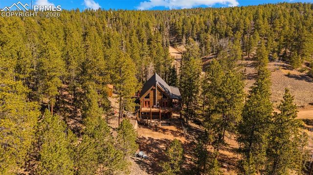 1253 E Bison Creek Trail, Divide, CO 80814