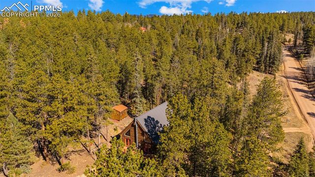 1253 E Bison Creek Trail, Divide, CO 80814