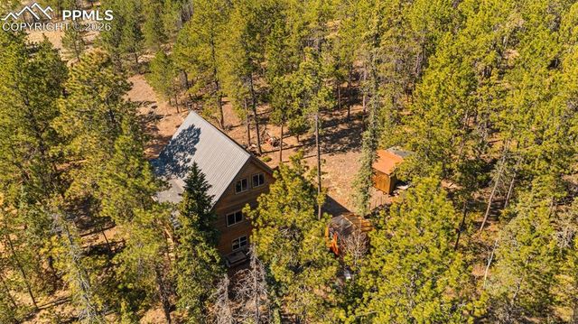 1253 E Bison Creek Trail, Divide, CO 80814