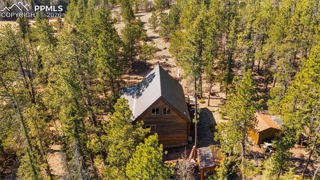 1253 E Bison Creek Trail, Divide, CO 80814