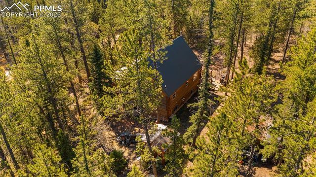1253 E Bison Creek Trail, Divide, CO 80814