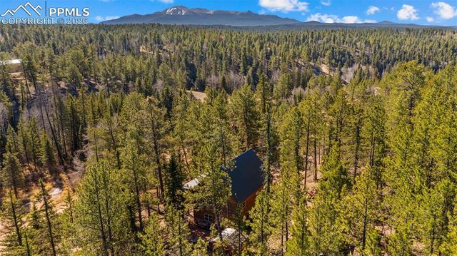 1253 E Bison Creek Trail, Divide, CO 80814