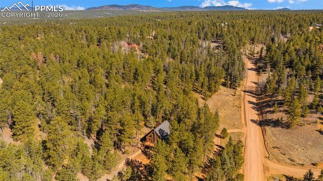 1253 E Bison Creek Trail, Divide, CO 80814