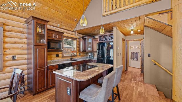 1253 E Bison Creek Trail, Divide, CO 80814