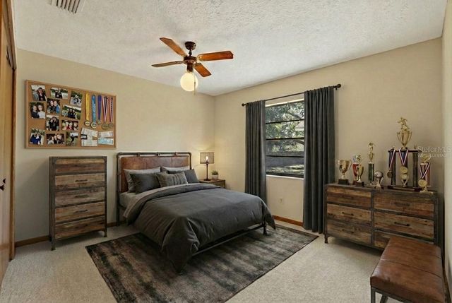 4207 SPRING WAY CIRCLE, Valrico, FL 33596