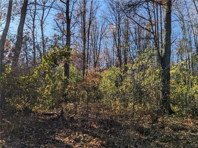 Lot 0 Thomas Avenue, Rice Lake, WI 54868