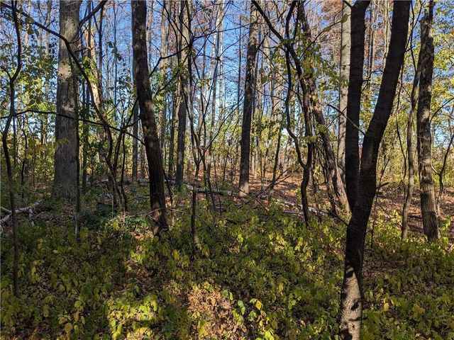 Lot 0 Thomas Avenue, Rice Lake, WI 54868