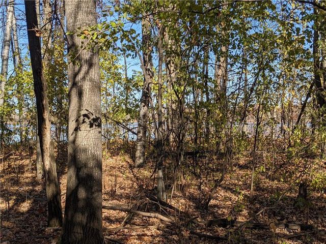 Lot 0 Thomas Avenue, Rice Lake, WI 54868