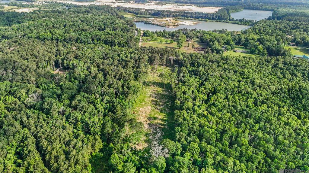 47405 La Hwy 16, Denham Springs, LA 70706