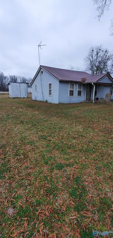 161 E E Pine Street, Falkville, AL 35622
