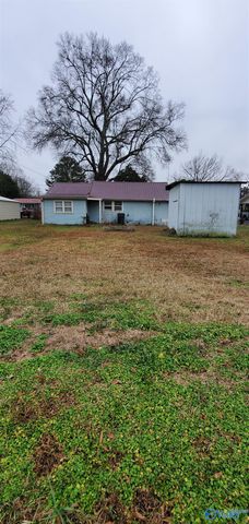 161 E E Pine Street, Falkville, AL 35622