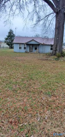 161 E E Pine Street, Falkville, AL 35622