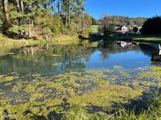 255 Central Heights Road, Blountville, TN 37617