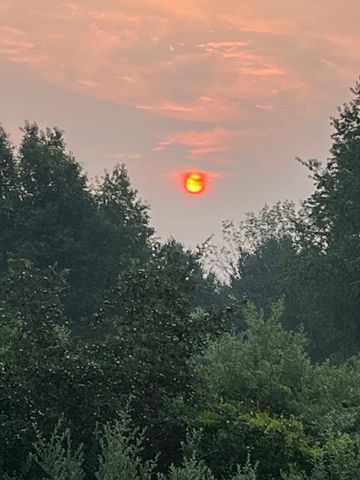 4838 Bartlett Road, Acme Twp, MI 49690