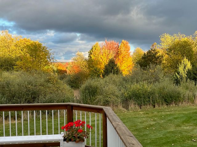 4838 Bartlett Road, Acme Twp, MI 49690