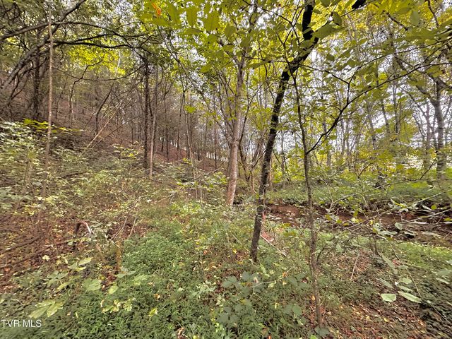 938 Old Newport Highway, Greeneville, TN 37743