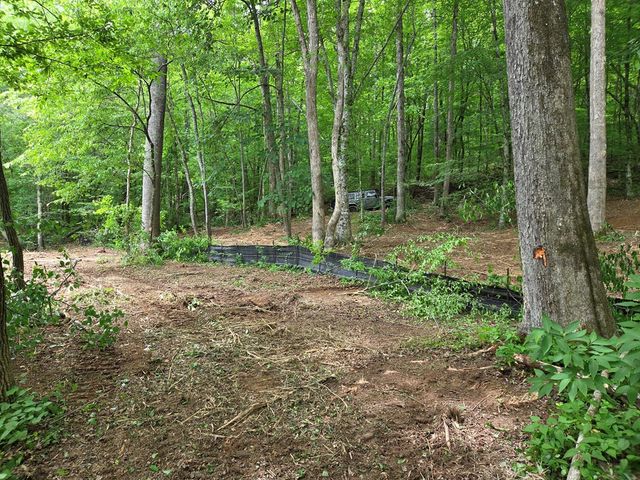 Lot 4 Ch Colwell Drive, Blairsville, GA 30512