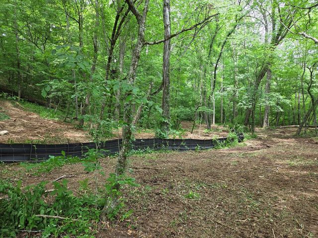 Lot 4 Ch Colwell Drive, Blairsville, GA 30512