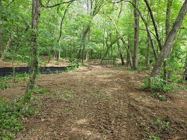 Lot 4 Ch Colwell Drive, Blairsville, GA 30512